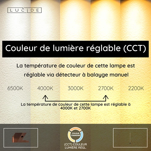 Lucide EQUINOX - Lampadaire - LED Dim. - CCT - 1x26W 2700K/4000K - Détecteur à balayage manuel - Fer gris | Vibes - USP
